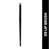 09 Lip Brush